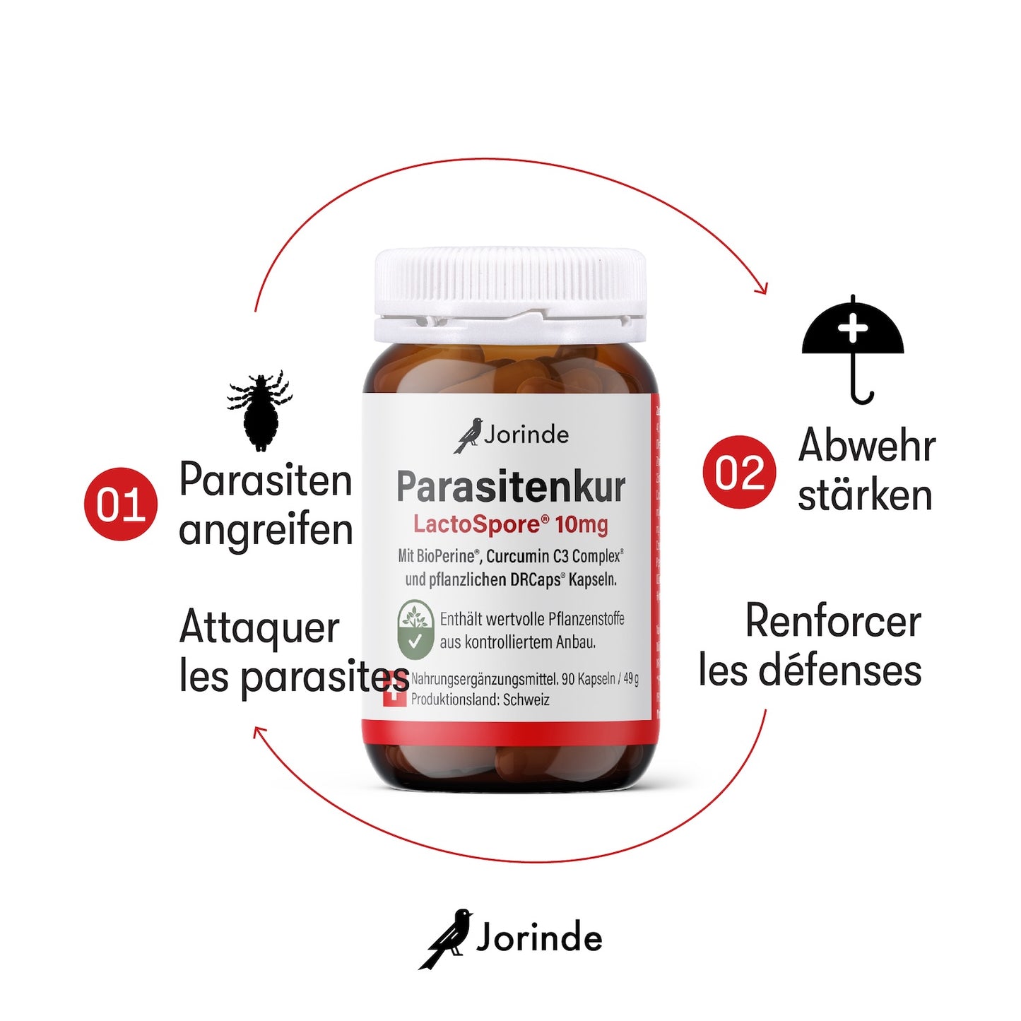 Jorinde Parasitenkur