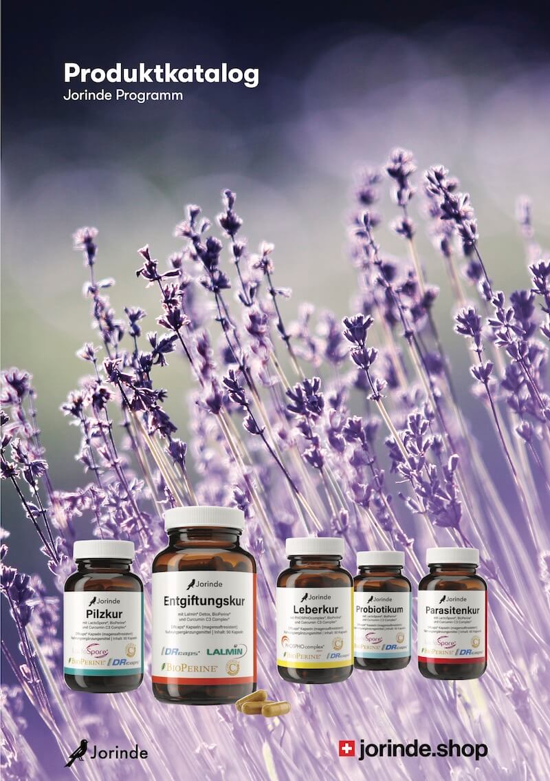 Catalogue des Produits